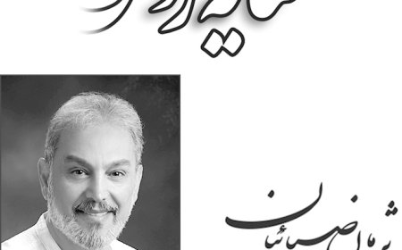 زوم روی کتاب/ کلمات عکاسی