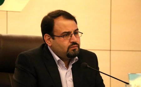 ابراهیم صبوری مدیرعامل سازمان همیاری شهرداری‌های فارس شد