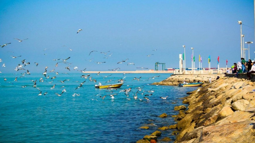 نخستین خواهرخوانده رسمی بوشهر: گامی به سوی همکاری‌های بین‌المللی