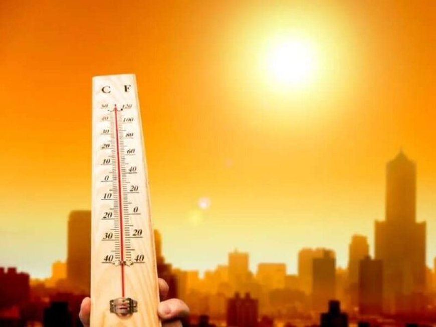 ثبت دمای ۵۰ درجه در فارس / از شدت گرما در اوایل هفته آتی کاسته می‌شود