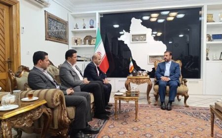 مدیرعامل شرکت برق منطقه‌ای استان: توسعه فارس از مسیر انرژی‌های تجدیدپذیر می‌گذرد