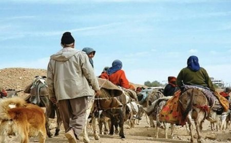 پرداخت تسهیلات به جامعه عشایری و روستایی کهگیلویه و بویراحمد