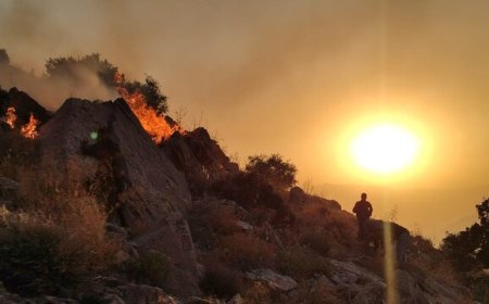 آتش‌سوزی در دامنه کوه بمو شیراز