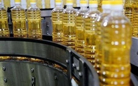 ۳۰۰تن روغن در انبارهای استان بوشهر تخلیه شد