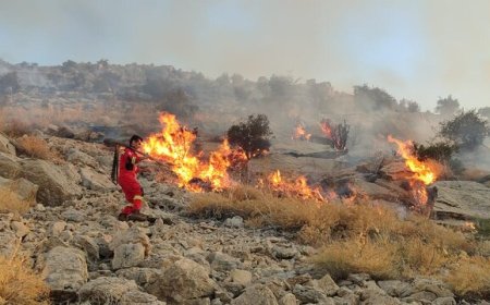 شناسایی نقاط بحرانی آتش‌سوزی جنگل‌ها در کهگیلویه و بویراحمد؛ کمبود شدید نیرو و تجهیزات