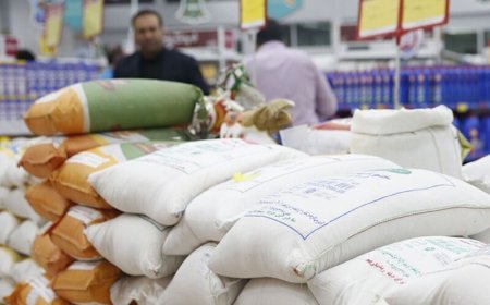 تعادل در تلاطم