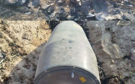 معاون استاندار ایلام:  پهپاد سرنگون‌شده امروز در ایلام MQ-9 آمریکایی است.