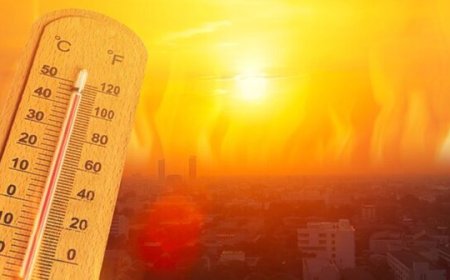 ماندگاری هوای گرم در فارس/ دمای ۵۱ درجه ثبت شد
