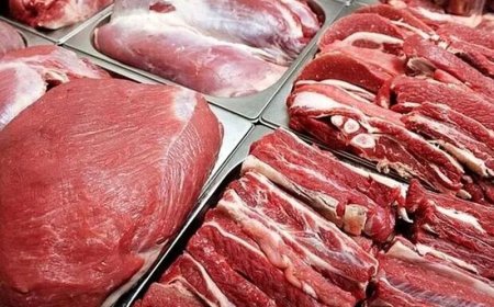 کمبودی در زمینه گوشت قرمز نداریم/ رشد ۱۷ درصدی عرضه گوشت گوسفندی