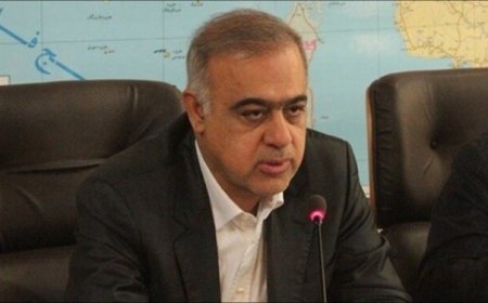 برگشت گردشگران خارجی به کشورشان با کشتی از هرمزگان