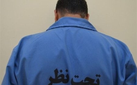 دستگیری ۹ متهم مرتبط با رژیم صهیونیستی در استان بوشهر