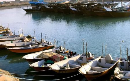 مجوزهای صید طبق روال برای صیادان استان بوشهر صادر می‌شود