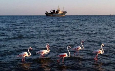 وزش باد و تلاطم دریا در هرمزگان