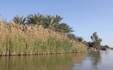 هشدار فوری محیط زیست خوزستان برای رسیدگی به وضعیت تالاب شادگان