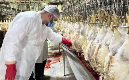 افزایش نظارت‌های بهداشتی و شرعی دامپزشکی در بوشهر