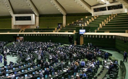 جزئیات لایحه ساماندهی پرنده‌های هدایت پذیر از راه دور/ساخت و تولید پهپاد بدون مجوز جرم است