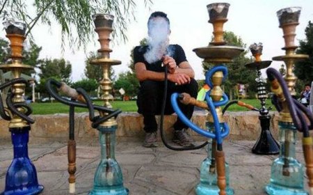 قلیان در پیک نیک!