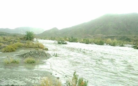 بارش باران و جاری شدن سیلاب در منطقه کوشاه احمدی حاجی آباد