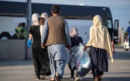 تابع طرد اتباع صعودی شد