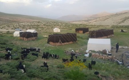 ارتقای خدمات به عشایر فارس با اعتبارات ویژه و پروژه‌های عمرانی