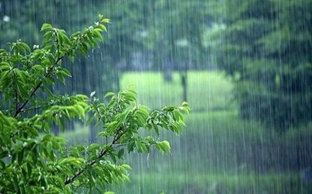 جزییات جدید از بارندگی تابستانه در کهگیلویه و بویراحمد