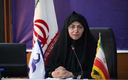 تدوین سند بررسی وضعیت زنان و خانواده فارس؛ مشاوران امور بانوان توانمند می‌شوند