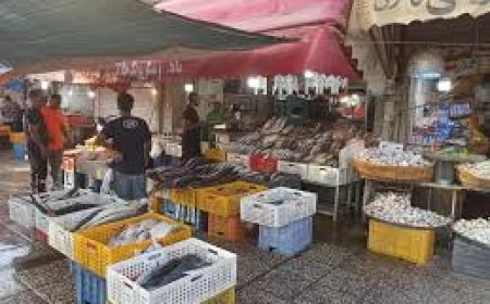 انتقال مغازه‌های دروازه کازرون ادامه دارد/ از اصناف با تمام قوا حمایت می‌کنیم