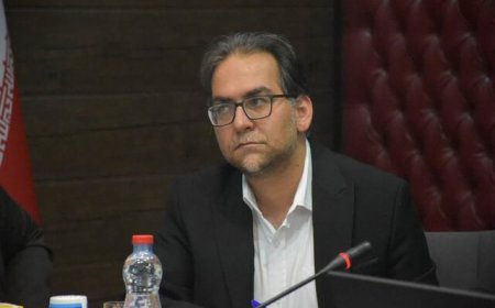 مدیرکل صمت استان تأکید کرد: ضرورت تقویت زیرساخت‌های صنعتی در فارس