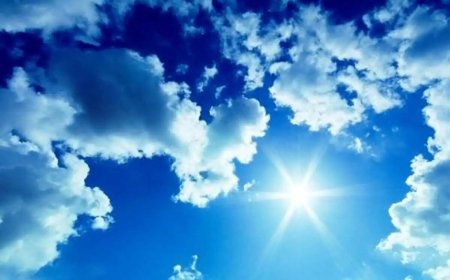 دما در اهرم و خورموج استان بوشهر به ۴۹ درجه سانتیگراد رسید