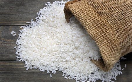 کاهش قیمت برنج تا دو هفته آینده