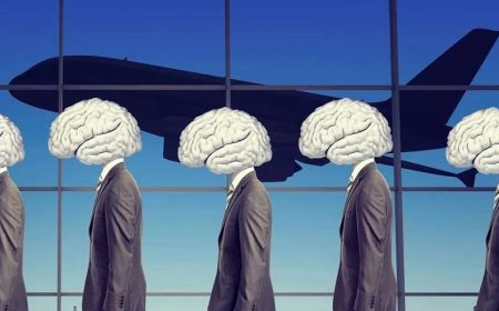 کمبود استاد در بعضی از رشته‌های علوم پزشکی شیراز به دلیل مهاجرت