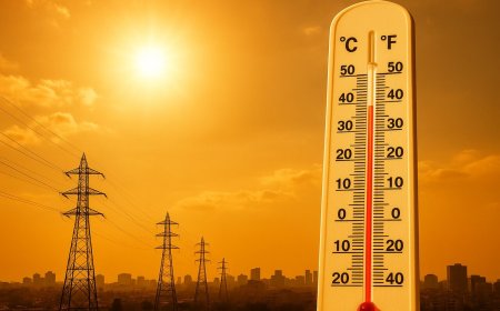ادارات فارس فردا تعطیل شدند