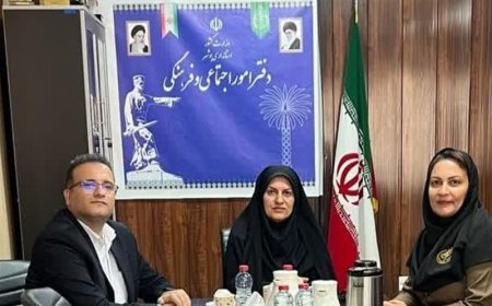 راهکارهای توسعه ورزش همگانی و کوهنوردی در بوشهر تدوین شد