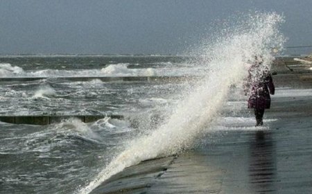 سواحل و فراساحل استان بوشهر مواج می‌شود