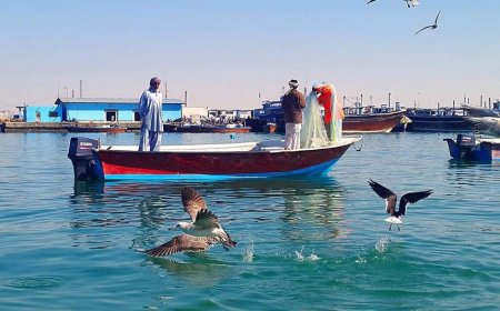 عربستان ۱۲ صیاد استان بوشهر را آزاد کرد