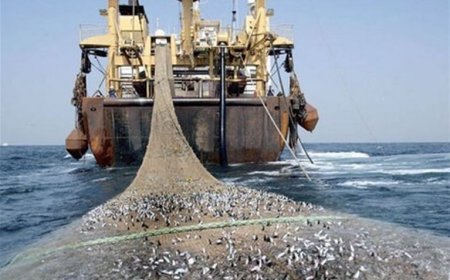 توقیف چهار شناور صیادی متخلف در آب‌های جنوبی استان بوشهر