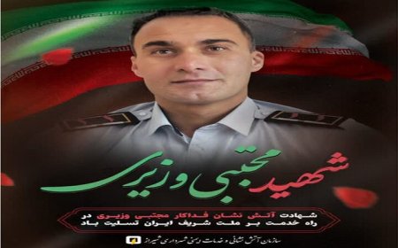 شهادت آتش‌نشان شیرازی در جریان مانور غواصی