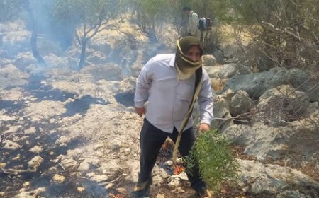 جدال باد و آتش در کوه سیاه لنده