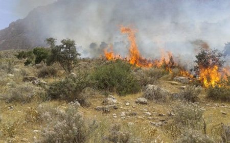 آخرین وضعیت آتش‌سوزی در ارتفاعات دشتستان