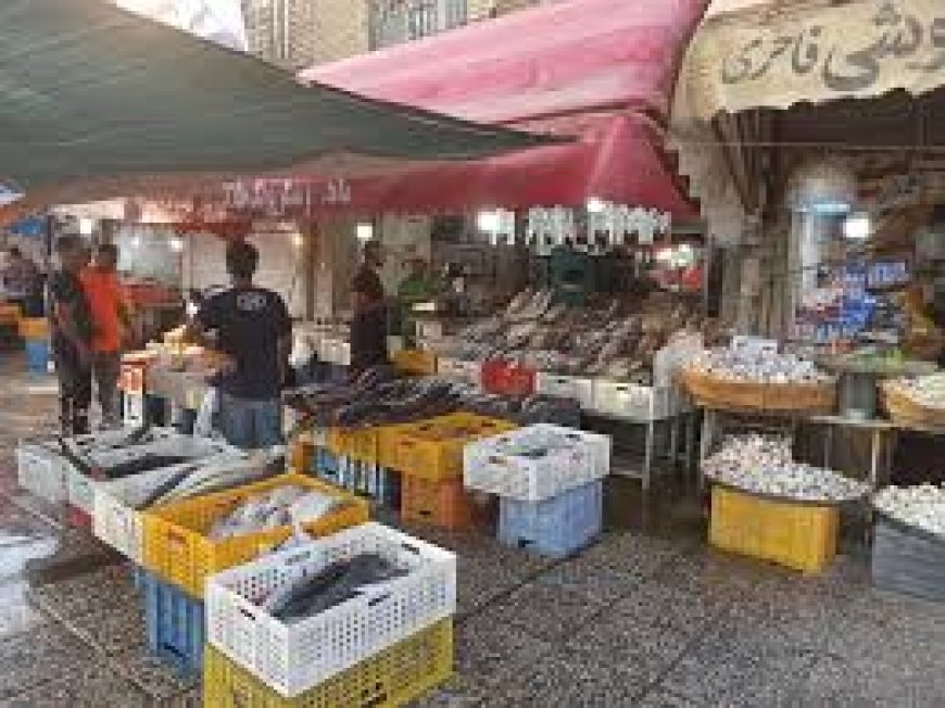 انتقال مغازه‌های دروازه کازرون ادامه دارد/ از اصناف با تمام قوا حمایت می‌کنیم