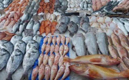 بازار ماهی گورزانگ یکی از مراکز مهم عرضه ماهی در کشور