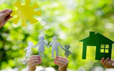 تسریع در واگذاری زمین‌های طرح جوانی جمعیت در دشتی