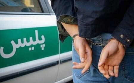 ضارب وکیل دادگستری در یاسوج دستگیر شد