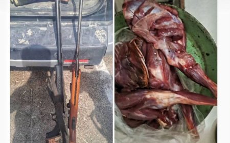 شکارچی کل وحشی در خمیر دستگیر شد