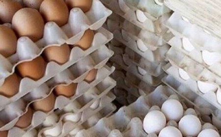 ضبط محموله بزرگ تخم‌مرغ در عسلویه