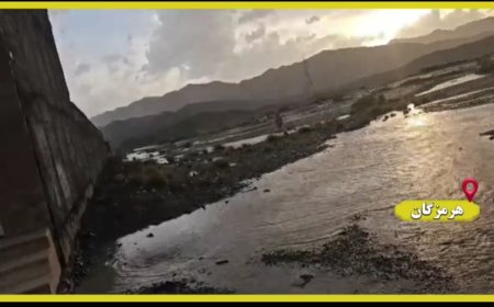 فیلم| بارندگی بشاگرد هرمزگان