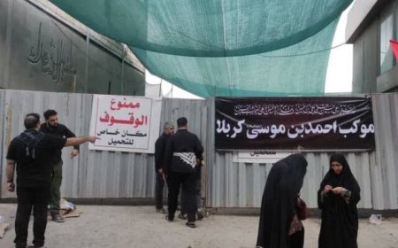 خدمت رسانی موکب احمد بن موسی شاهچراغ(ع) در کربلا
