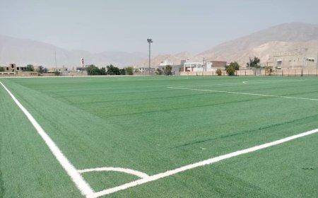 وضعیت نصب چمن جدید ورزشگاه تختی بستک به کجا رسیده‌است؟