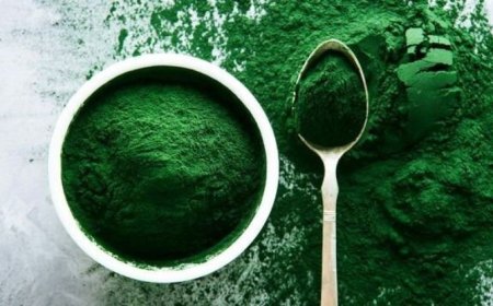تولید بیش از ۶ هزار کیلوگرم خمیر جلبک اسپیرولینا در فارس
