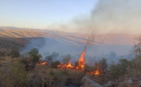 ارتفاعات روستای دشتک مرودشت همچنان در محاصره آتش